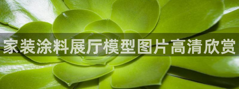 和记AG旗舰：家装涂料展厅模型图片高清欣赏