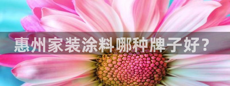 和记5g电讯