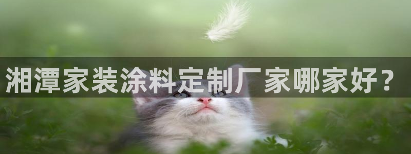 和记官网：湘潭家装涂料定制厂家哪家好？