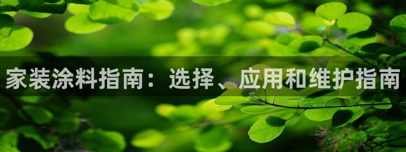 和记hj：家装涂料指南：选择、应用和维护指南
