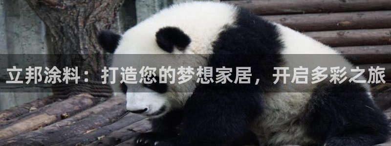 和记ag旗舰厅app：立邦涂料：打造您的梦想家居，开启多彩之
