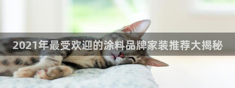 和记paging：2021年最受欢迎的涂料品牌家装推荐大揭秘