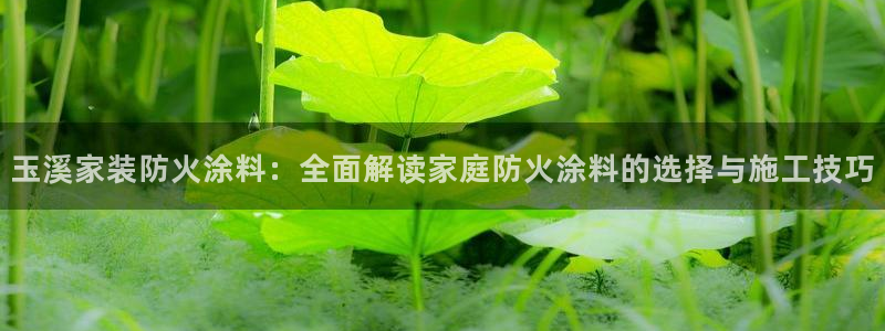 和记h88游戏：玉溪家装防火涂料：全面解读家庭防火涂料的选择
