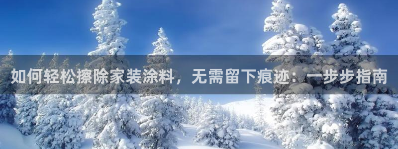 和记网页版登陆：如何轻松擦除家装涂料，无需留下痕迹：一步步指
