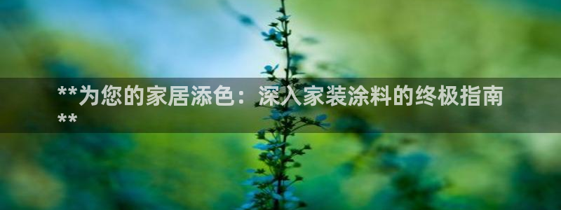 和记国际电讯市值：**为您的家居添色：深入家装涂料的终极指南
**