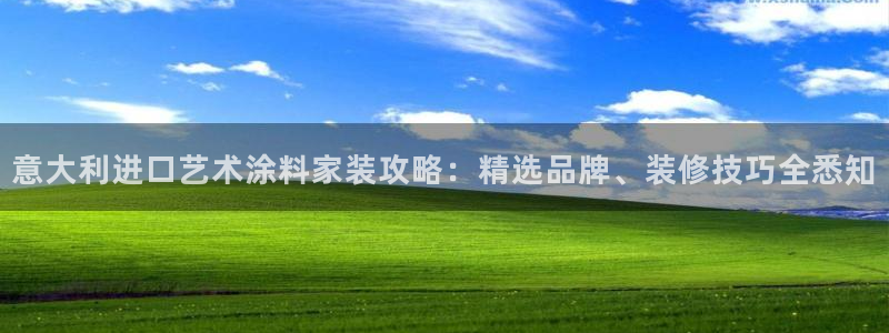 和记5g电讯：意大利进口艺术涂料家装攻略：精选品牌、装修技巧全悉知