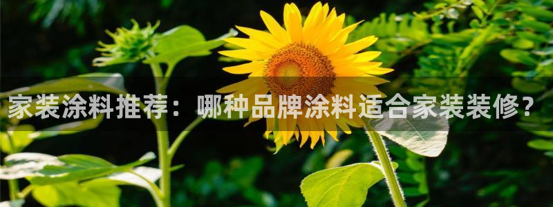 和记国际开户网站：家装涂料推荐：哪种品牌涂料适合家装装修？