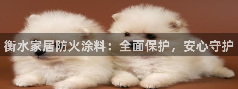 和记平台注册：衡水家居防火涂料：全面保护，安心守护