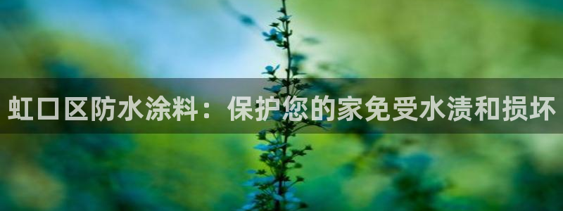 和记AG旗舰：虹口区防水涂料：保护您的家免受水渍和损坏
