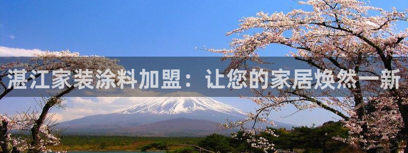 和记(福建)商贸有限公司：湛江家装涂料加盟：让您的家居焕然一新