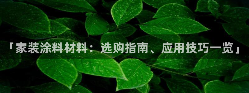 和记pc：「家装涂料材料：选购指南、应用技巧一览」