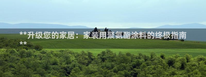 和记AG：**升级您的家居：家装用聚氨酯涂料的终极指南
**