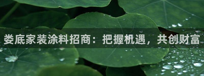 和记网页